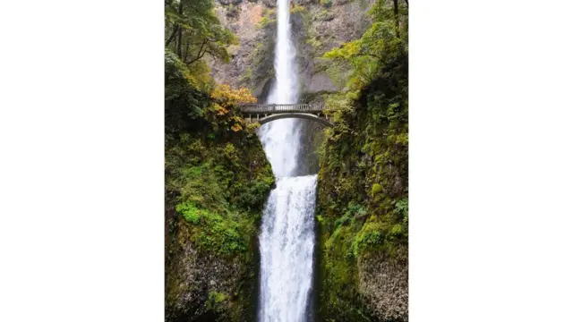 （图片来源：Zack Frank）