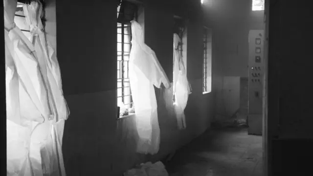 अरुण जंगम