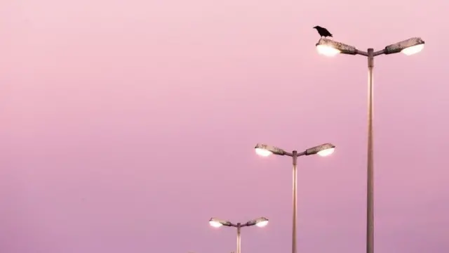 تسهم مصابيح الشوارع في ظاهرة التلوث الضوئي