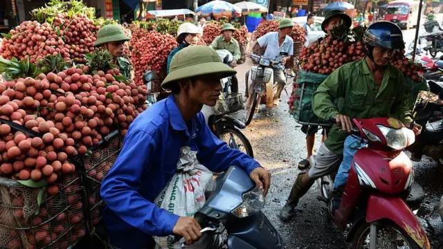 Nông dân ở Bắc Giang chờ đến lượt bán vải thiểu ở cửa khẩu