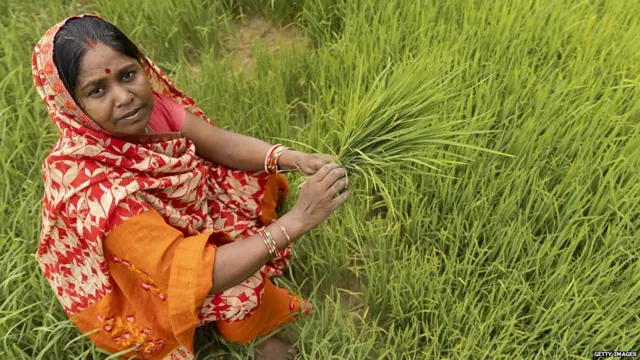 प्रातिनिधिक फोटो