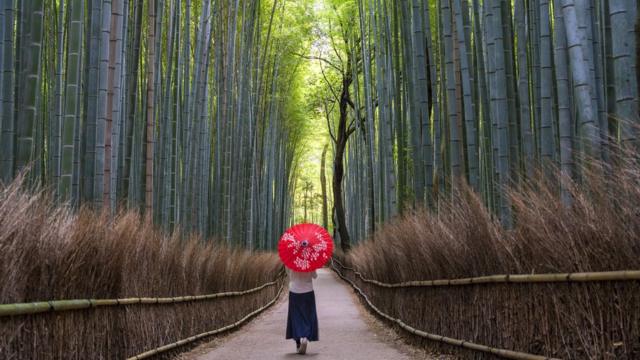 Метро для женщин, дома без отопления: факты и мифы о Японии | VK