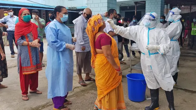 नमुना सङ्कलन