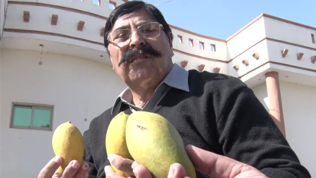 چاند شاہ گیلانی فارم کے مالک