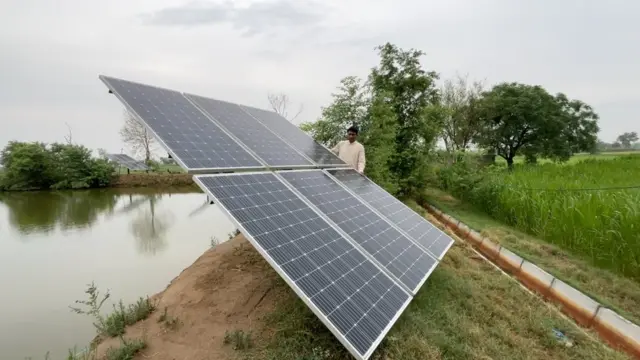 پنجاب، زراعت