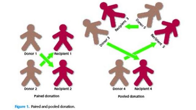 Gráfico sobre cómo funcionan las donaciones cruzadas, cortesía del servicio de salud pública británica, el NHS