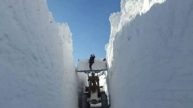 باميانو واوره