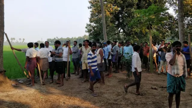 కొబ్బరి చెట్టెక్కిన చిరుత‌