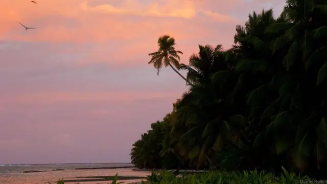 Bầu trời Chagos luôn rực rỡ sắc màu.
