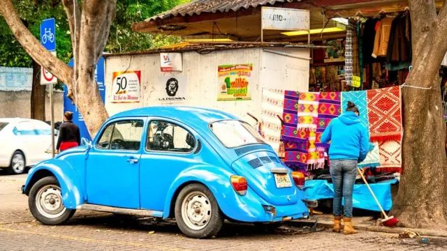 Койоакан району: даамдуу көчөдөгу тамак, жагымдуу үйдөгүдөй атмосфера.
