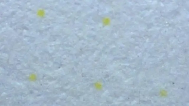 कंप्यूटर प्रिंटर