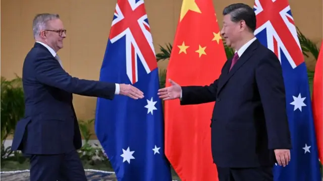 习近平与阿尔巴尼斯会面