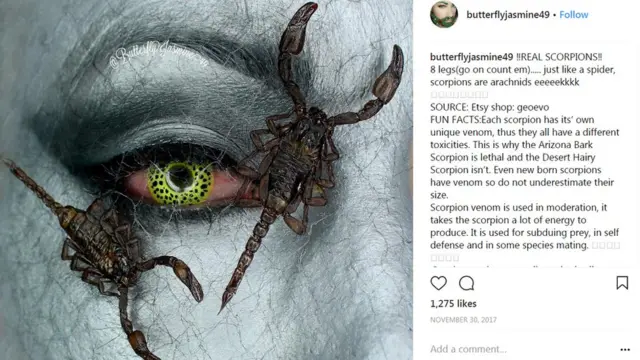 తేళ్లతో మేకప్