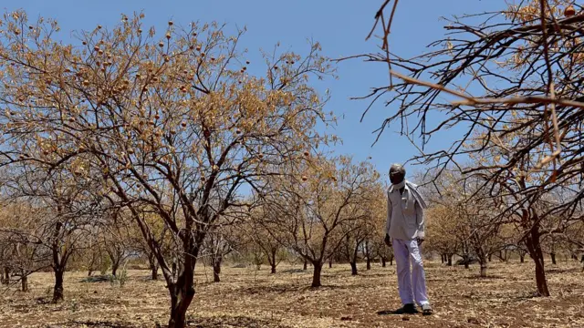 दुष्काळ