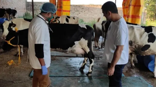 دھونی کا فارم