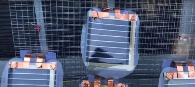 கோடிக்கணக்கானோரின் வாழ்க்கையில் ஒளியேற்றிய 15 வயது மாணவி