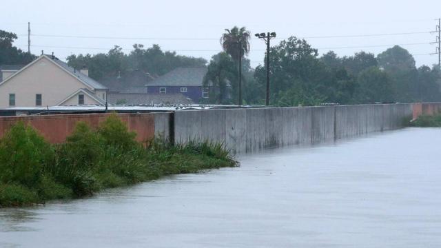 在2017年的哈维飓风(Hurricane Harvey)期间，这种堤坝的收益与成本比还不到湿地恢复的三十分之一