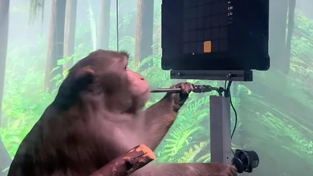 สุดยอดความก้าวหน้าทางวิทยาศาสตร์แห่งปี 2021