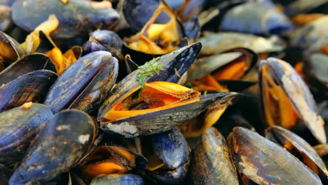 Люди мешают жить мидиям