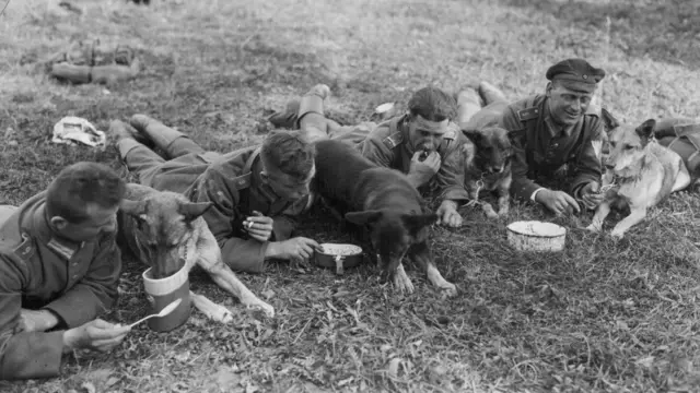 Німецькі солдати