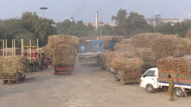 گنے کی ترسیل