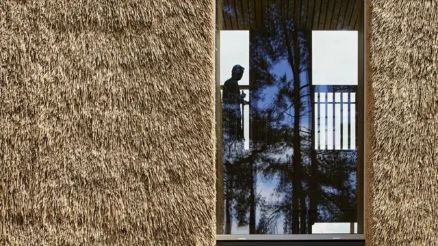 घर में साफ हवा