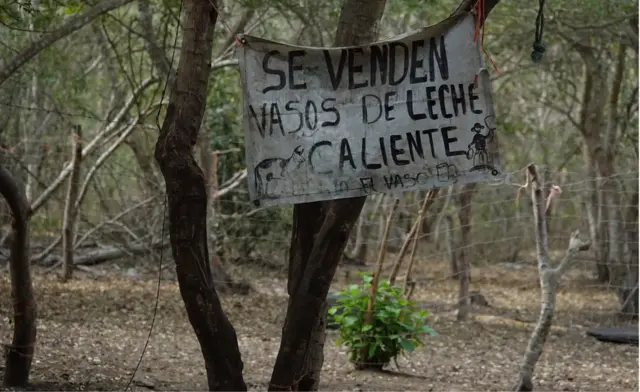 El lugar donde ocurrió el tiroteo en el que murieron 6 personas en Tecomán quedó desierto.