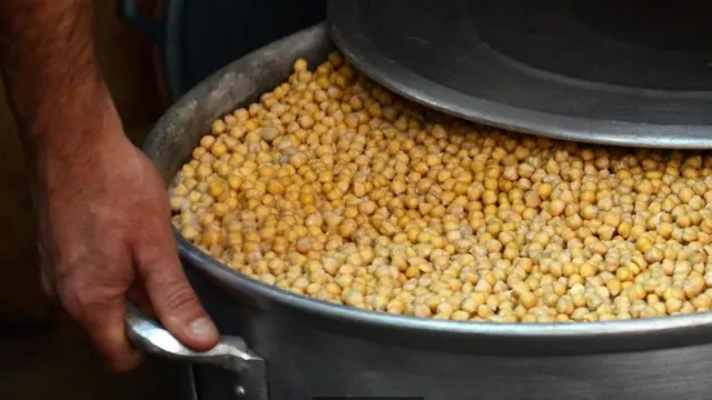 鹰嘴豆出现在土耳其可以回溯到10000年前,据说是人类最早种植的豆科植物之一。