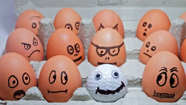 مجموعات من البيض عليها رسومات مختلفة