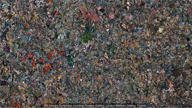 Edward Burtynsky