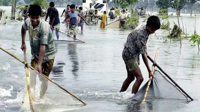 মাছ ধরা।