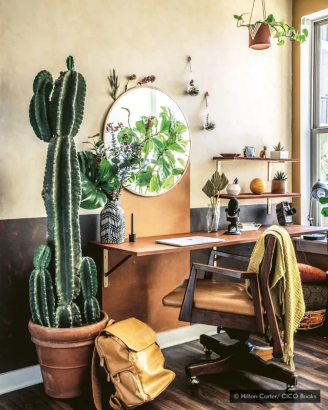 Hilton Karter/CICO Books