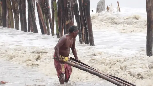 Hombre juntando barras de madera a orillas del mar en Sundarbans