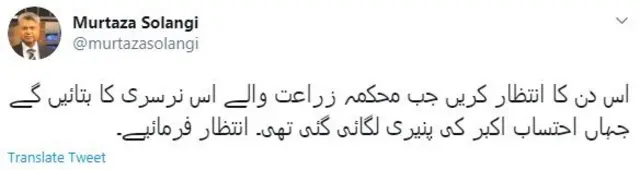 مرتضی سولنگی