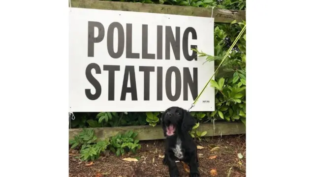 Screen grab of tweet by @TheSpeer7