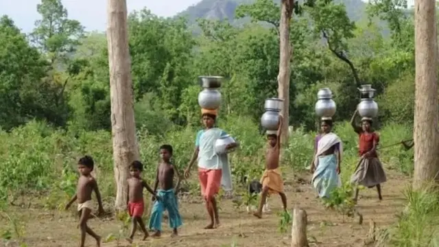 பழங்குடிகள்