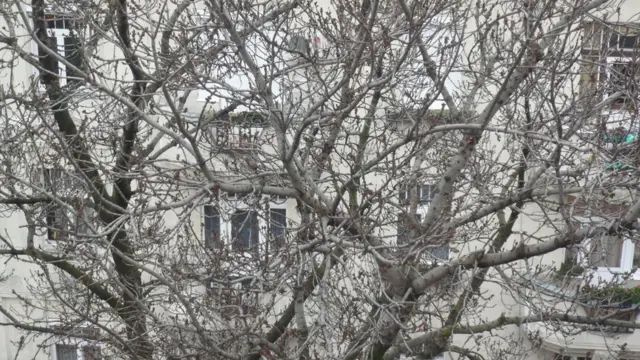 Цвета: серый