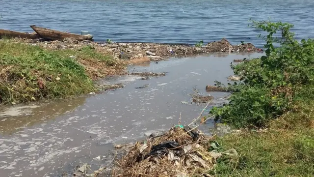 Imicafu iva mu ngo no mu mahinguriro ntikiyungurugwa