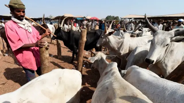 Edo steeti na ndị ọchịehi