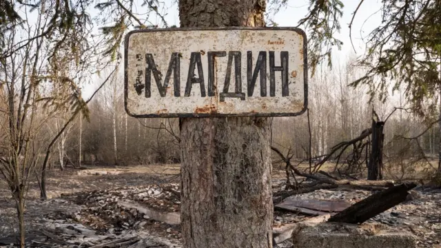 Пожежі на Житомирщині. Фото