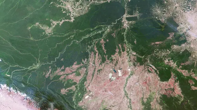 Amazônia