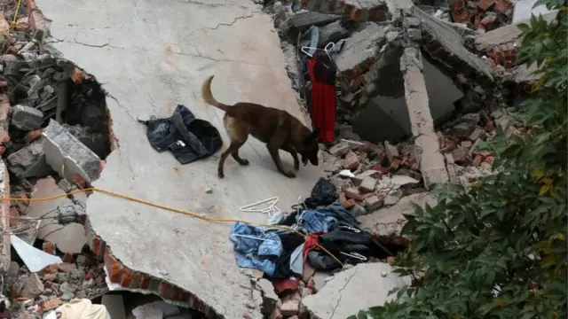 मेक्सिको भूकंप