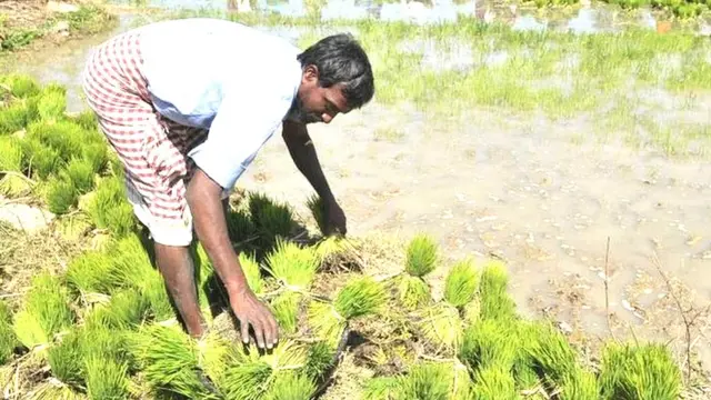 రైతులు, వ్యవసాయం