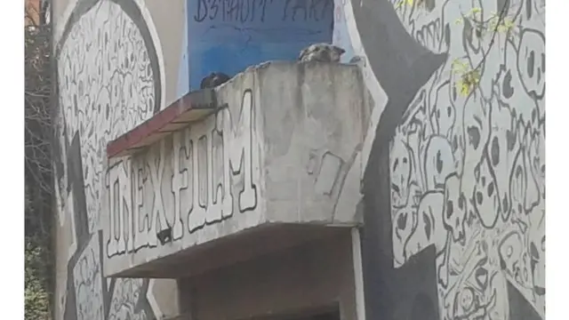 Nekadašnji beogradski skvot