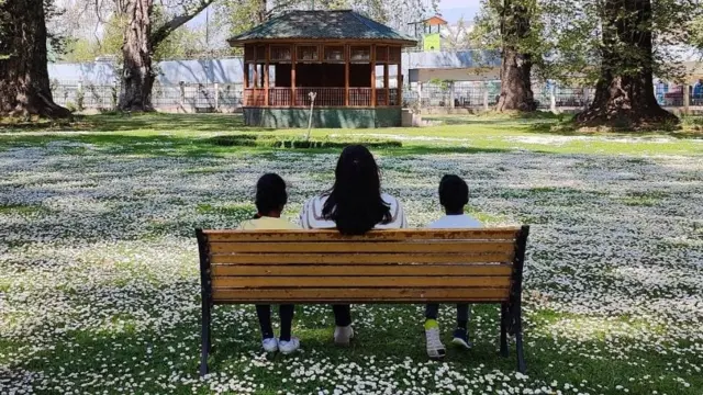 Hamsaanandini Nanduri