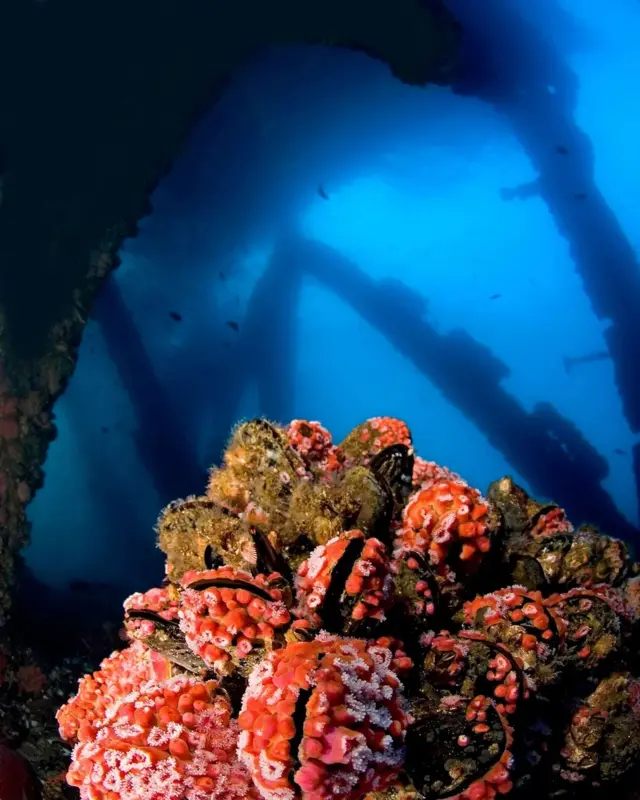 సముద్రం