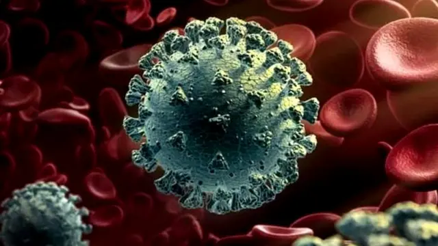 कोरोना वायरस