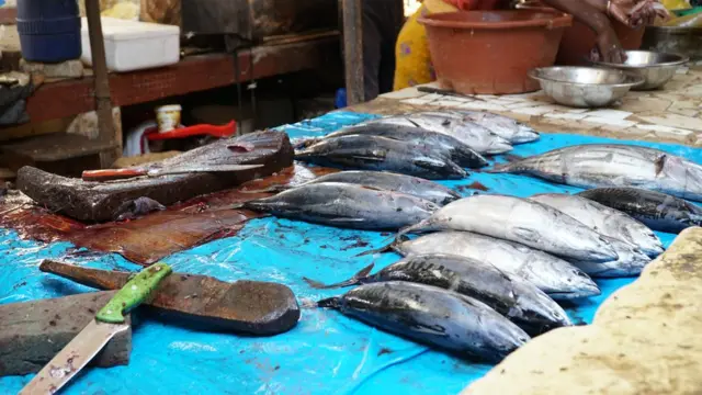 Le métier d'écailleuses de poissons est risqué à cause des objets tranchants utilisés.