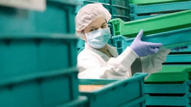 Kwenye ardhi yake, Emery anakuza maelfu ya minyoo wa chakula