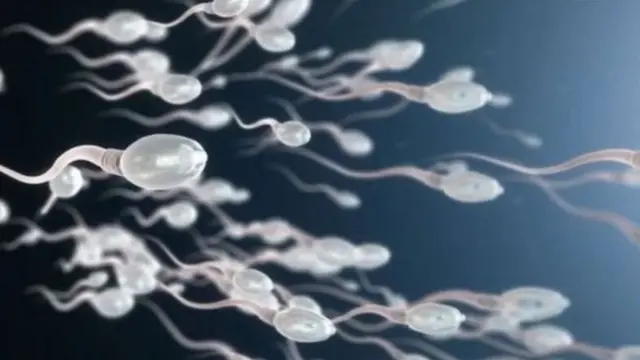 शुक्राणू